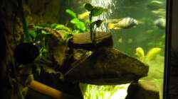 Seitenansicht mit Schnellfilter