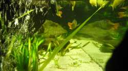 Seitenansicht aus Höhle