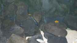 Aquarium Becken 12835
