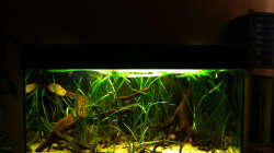 Aquarium 112 Südamerika,A