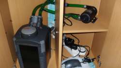 Technik im Aquarium Parteeey Becken