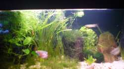 10.10.2009 Mein kleines Becken