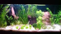 So sah es am Anfang aus...