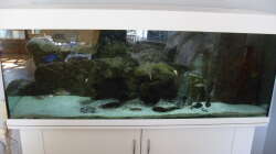 Aquarium NonMbuna-Style (aufgelöst)