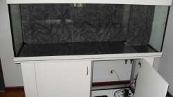 Aquarium NonMbuna-Style (aufgelöst)