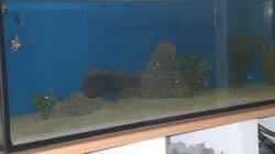 Aquarium Becken 13245