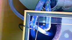 ??berlauf: Im Rohr neben dem Aquarium ist der gleich hohe Wasserstand wie im Aquarium