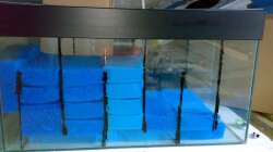 Technik im Aquarium 360L - Diskus (nur noch als Beispiel)