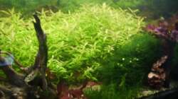 Nach der Umgestaltung!!