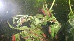 Das große Fressen!!!