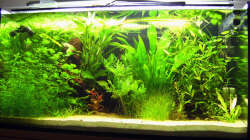 20.07.2009 ~ Gesamtansicht