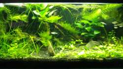 Stand Febraur 2013 - Ohne Blitz