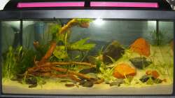 November 2012 - Vor der Neueinrichtung