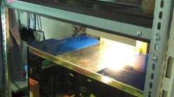 Aufzuchtanlage 2 unten