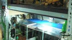 Aufzuchtanlage 2 oben