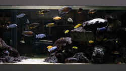 Aquarium Becken 13672