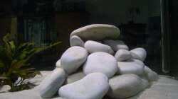 Malaga Kalkgestein 25kg