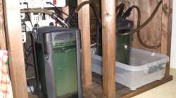 2 Aussenfilter + Stromkreise