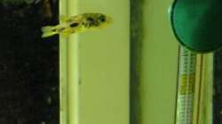 Stimmt die Temperatur? ;-)