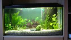 Kurz nach der Neueinrichtung