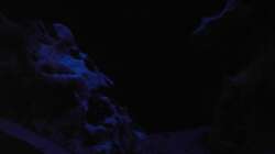 Technik im Aquarium Raumteiler