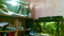 Aquarium Becken 13850