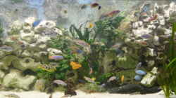 Aquarium Becken 1388