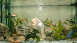 Aquarium Becken 14