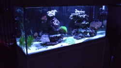 Aquarium Becken 14005