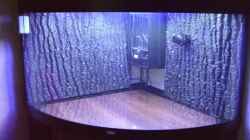 Technik im Aquarium Juwel Trigon mit Panoramascheibe