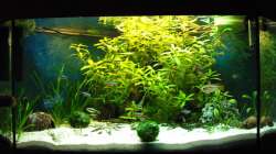 20.12.09 vor dem Umbau