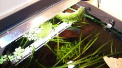 mal von oben 19.12.2010