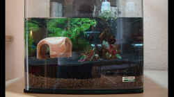 Aquarium Nano Cube30