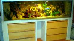 Aquarium Becken 14301