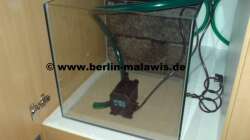 EB Klarwasserkammer mit Pumpe