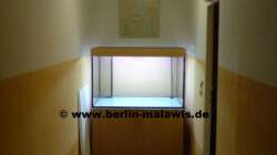 EB Becken - Trocknungsphase