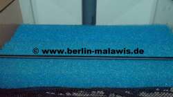 EB Kammer 2 mit  2 x Schwämme groß