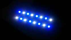 Bau der LED Leuchte