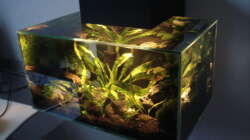 Aquarium Fluval Edge Black Bee