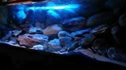 Aquarium 720 Liter Malawi