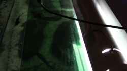 grüne Tönungsfolie auf Plexiglasplatte