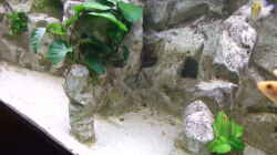 Detail Hintergrund mit Höhlen und Aufbauten