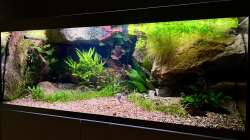 Aquarium Andrews Dream