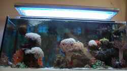 Aquarium Becken 15157