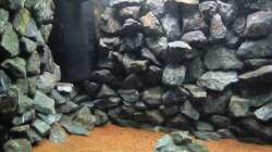 Technik im Aquarium Baby Home Malawi