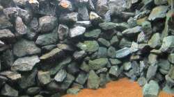 Aquarium Baby Home Malawi