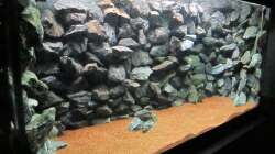 Dekoration im Aquarium Baby Home Malawi