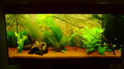 Aquarium Juwel Rio 180