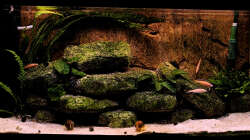 Vorderansicht vom 21.11.2009