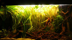 Aquarium 112 Südamerika,N